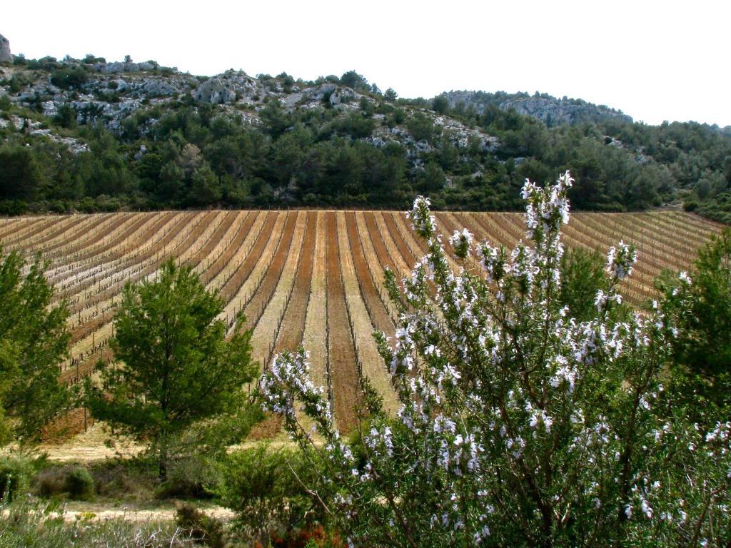 Mas Du Soleilla Pension Narbonne Buitenkant foto